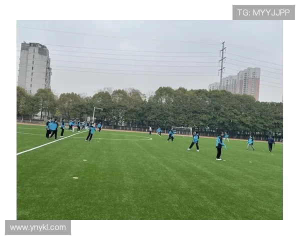 南京飞盘队实力对比深度解析及未来发展趋势探讨 南京飞盘队实力对比深度解析及未来发展趋势探讨