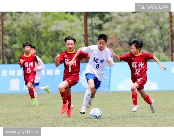 杭州足球队速度之争引发热议球迷与专家各执己见