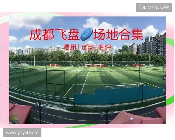 飞盘盛宴：深入了解成都飞盘队的默契与协作精神