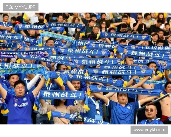 株洲狼腾足球队崛起之路：从草根起步到职业联赛的奋斗与梦想