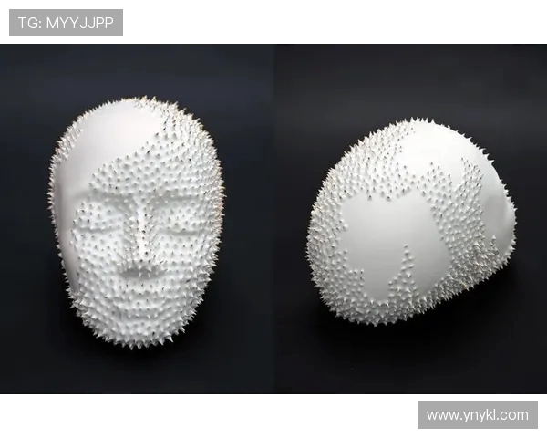 可兰白克：探索这位艺术家背后的故事与创作灵感之旅