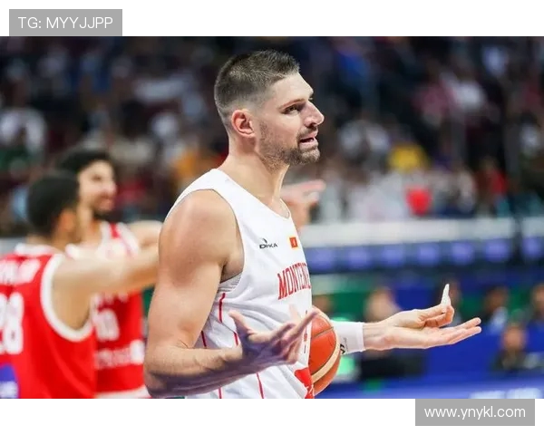 尼古拉武切维奇的传奇人生与篮球梦想的追寻之路