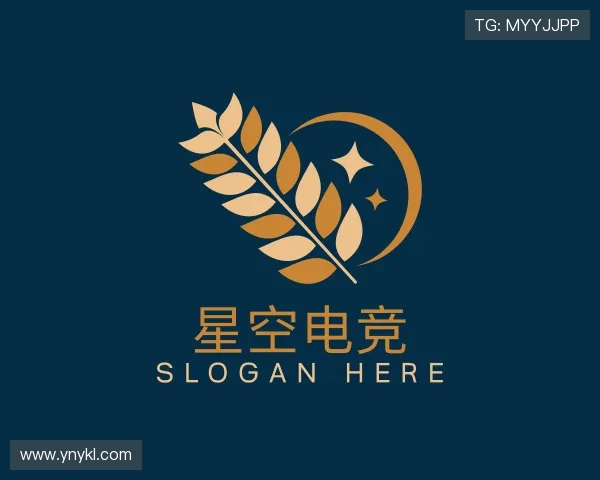 了解星空电竞